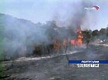 Португалия была объявлена зоной стихийного бедствия из-за непрекращающихся лесных пожаров, в результате которых погибли уже 9 человек Португалия была объявлена зоной стихийного бедствия из-за непрекращающихся лесных пожаров, в результате которых погибли уже 9 человек