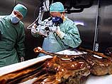 Ученые, изучив ДНК человека, жившего на Земле около 5300 лет назад, мумия которого была обнаружена в 1991 году в тающем леднике в Тирольских Альпах, пришли к выводу, что он был убит в схватке