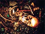 Во Франции женщина ради пенсии три года хранила дома скелет матери Во Франции женщина ради пенсии три года хранила дома скелет матери