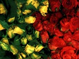 Китайский миллионер подарил своей невесте 99 999 роз 