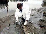 Берег Волги в районе Самары затопило фекалиями