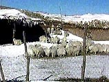 Сильнейшие снежные бураны обрушились на север Китая Сильнейшие снежные бураны обрушились на север Китая