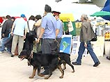 МАКС-2003 посетило 700 тысяч человек МАКС-2003 посетило 700 тысяч человек