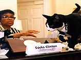 Сейчас Билл и Хиллари ищут надежные руки, в которые можно было бы передать животное
