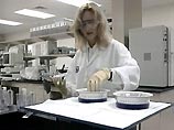 Clon-Aid получила из России заявку на клонирование человека Clon-Aid получила из России заявку на клонирование человека