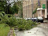Cильный порыв ветра повалил старое дерево на Сретенском бульваре