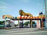 В японском зоопарке родился "зебросел"