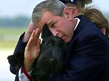 Прощаясь с Техасом, Джордж Буш уронил свою собаку Барни