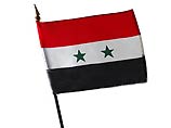 Правительство Сирии ушло в отставку