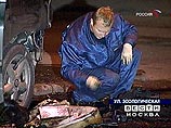В центре Москвы взорван автомобиль Volkswagen Sharan В центре Москвы взорван автомобиль Volkswagen Sharan