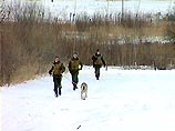 На участке российско-китайской границы у заставы Сосновая наши пограничники задержали необычных нарушителей, направлявшихся в Китай На участке российско-китайской границы у заставы Сосновая наши пограничники задержали необычных нарушителей, направлявшихся в Китай