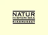 В настоящее время метеорит находится в Swedish Museum of Natural History в Стокгольме