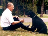 Путин со своей собакой - лабрадором Кони - в Ново-Огарево