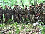 Боеспособные отряды боевиков продолжают скрываться в юго-восточных районах Чечни