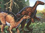 Трехметровый эдмонтозавр (назван так по городу Эдмонтон в Канаде, где он был найден) имел больше всего опухолей и был единственным, у кого была обнаружена злокачественная опухоль