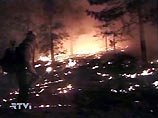 Мощные пожары в Калифорнии стали причиной гибели 13 человек Мощные пожары в Калифорнии стали причиной гибели 13 человек