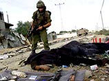 Палестинский камикадзе взорвал себя на Западном берегу
