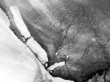 Самый большой айсберг в мире раскололся надвое, не перенеся сильнейшего шторма, сообщает AFP со ссылкой на газету Antarctic Sun