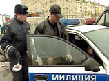В Новосибирске появились картонные милицейские автомобили
