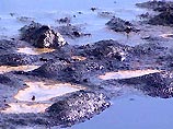 Нефть попала в карпатскую речку Орява