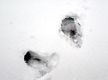 После прошедшего снегопада высота снежного покрова в столице составляет порядка 15-18 см, заявил в понедельник гендиректор Гидрометеобюро Москвы и Московской области Алексей Ляхов