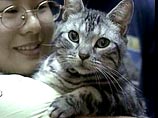 В Японии поступил в продажу первый в мире переводчик с кошачьего языка