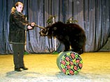 В театре зверей Дурова медведь загрыз насмерть человека, еще двое ранены
