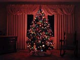 Рождественскую елку сочли символом христанской исключительности