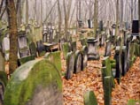 На кладбище и в церкви были намалеваны изображения свастики  Фото: http://warsawghetto.epixtech.co.uk