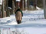 В Новгородской области без света остаются 57 населенных пунктов