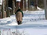 В Новгородской области без света остаются 57 населенных пунктов В Новгородской области без света остаются 57 населенных пунктов