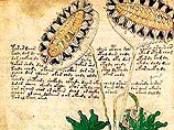 Манускрипт Войнича часто называют самой таинственной в мире книгой. В рукописи использован уникальный алфавит, в ней около 250 страниц и рисунки, изображающие неведомые цветы, обнаженных нимф и астрологические символы. Манускрипт Войнича часто называют самой таинственной в мире книгой. В рукописи использован уникальный алфавит, в ней около 250 страниц и рисунки, изображающие неведомые цветы, обнаженных нимф и астрологические символы.