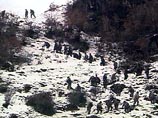 Спецназ нашел боевиков в горах Дагестана: идет операция по их уничтожению