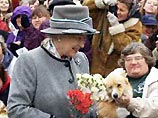 Любимую собачку королевы Елизаветы II загрыз бультерьер ее дочери (ФОТО)