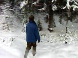 Житель Новгородской области замерз в лесу, куда он отправился за новогодней елочкой