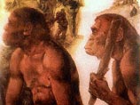 Первые люди современного типа (homo sapiens), жили в районе Северного полярного круга