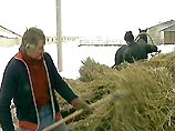 Для повышения производительности труда руководство установило "сухой закон" и возродило принципы социалистического соревнования Для повышения производительности труда руководство установило "сухой закон" и возродило принципы социалистического соревнования