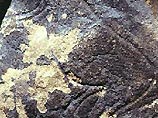 Пещера украшена рисунками, сделанными в магдаленский период (последний период верхнего палеолита, между 22 000 и 15 000 лет до н. э.)