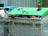 В столице в мусорном контейнере обнаружен труп новорожденного