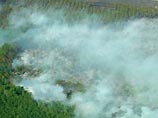 Из-за пожаров на плантациях Россия может лишиться грузинского чая