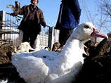 Власти Китая официально подтвердили распространение в стране "птичьего гриппа"  Вирус вызвал гибель уток на одной из птицеферм в Гуанси-Чжуанском автономном районе