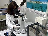 Итальянские ученые проводят испытания новой вакцины от СПИДа