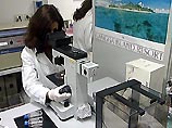 Итальянские ученые проводят испытания новой вакцины от СПИДа Итальянские ученые проводят испытания новой вакцины от СПИДа