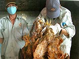 "Птичий грипп" убил двух сестер во Вьетнаме