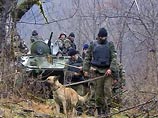 В качестве версии рассматриваются события 27 января, когда в результате вооруженного столкновения между полицейскими Грузии и абхазской криминальной группировкой погибли четверо грузинских полицейских, а также два члена криминальной группировки В качестве версии рассматриваются события 27 января, когда в результате вооруженного столкновения между полицейскими Грузии и абхазской криминальной группировкой погибли четверо грузинских полицейских, а также два члена криминальной группировки