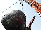 Опубликованы фото взорвавшегося кашалота Опубликованы фото взорвавшегося кашалота