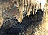 Барнаульские летучие мыши шокированы поведением "моржей" Барнаульские летучие мыши шокированы поведением "моржей"