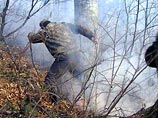 Под грузинским курортом Цхалтубо возник сильный лесной пожар