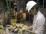 Напомним, российские власти ввели ограничения на импорт куриного мяса из штата Делавэр в связи с выявленным там случаем заболевания "птичьим гриппом"