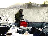 В Приморье пресечена попытка вывоза в Китай крупной партии осетровых В Приморье пресечена попытка вывоза в Китай крупной партии осетровых